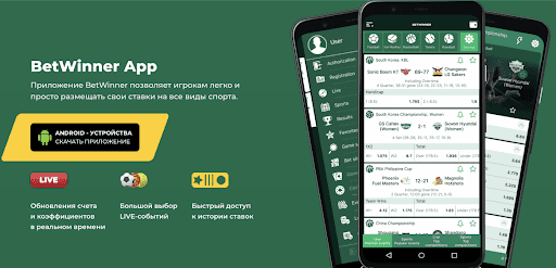 Découvrez l'univers captivant du Betwinner Casino