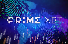 Comprehensive PrimeXBT Reviews Your Ultimate Guide to Cryptocurrency Trading