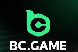 BC.Game Mobile App Your Gateway to Online Gaming